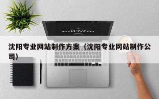 呼伦贝尔沈阳专业网站制作方案（沈阳专业网站制作公司）